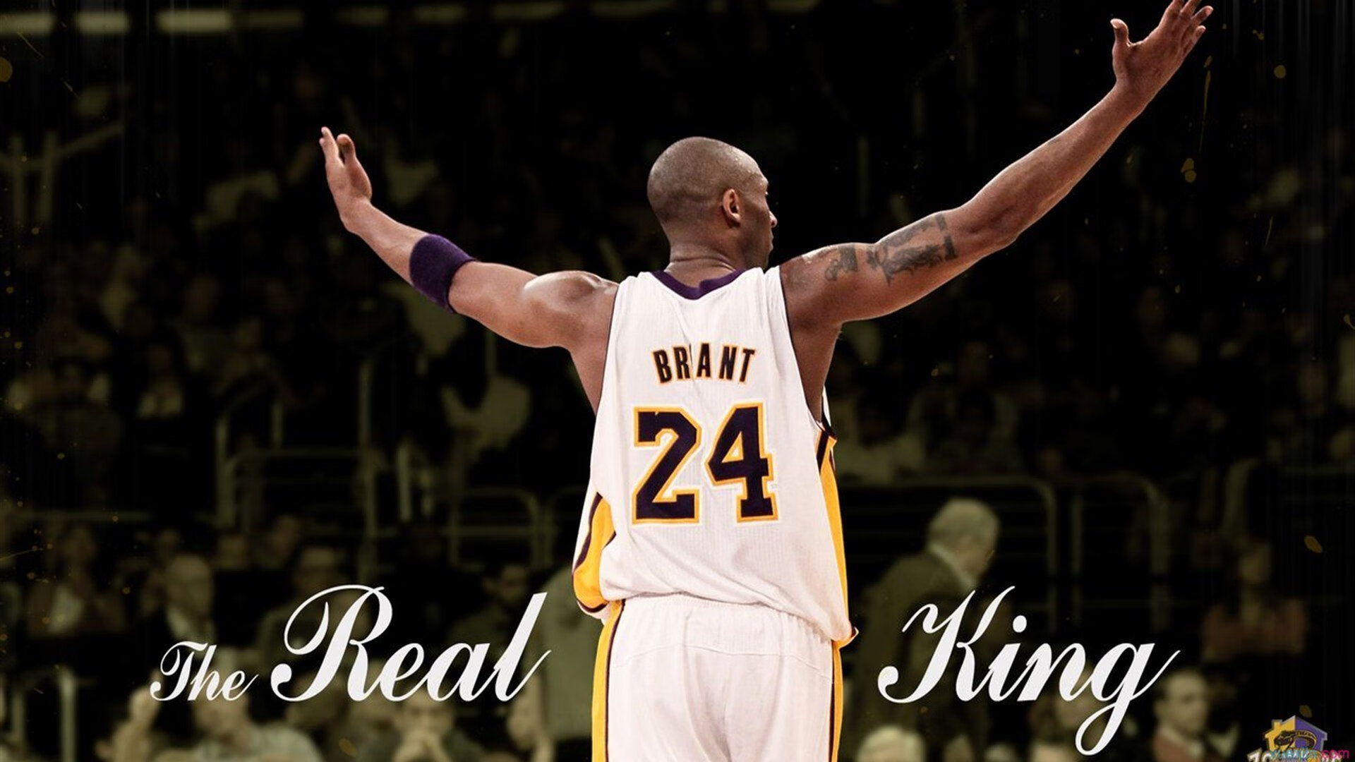 逆境之光：逆风翻盘激发无限潜能，逆境之中是什么意思